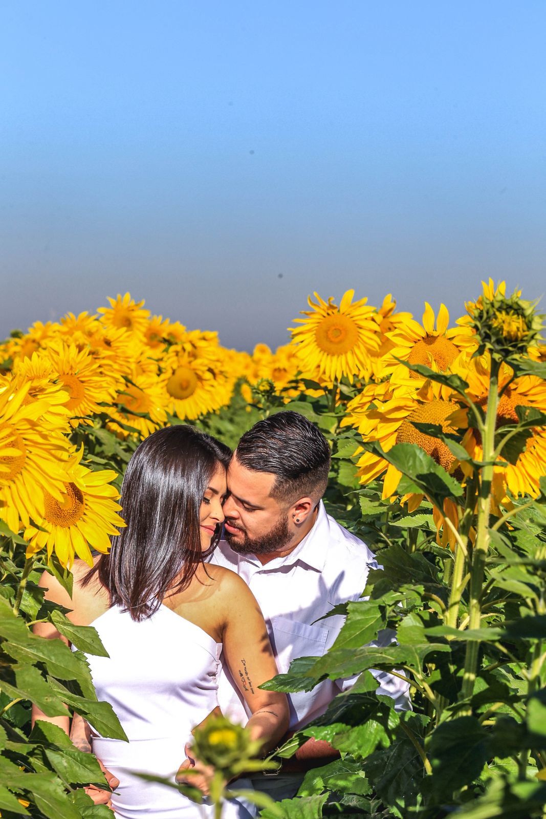 Foto Holambra a cidade das Flores e a Cidade do Amor Foto Holambra a cidade das Flores e a Cidade do Amor - Imagem 9
