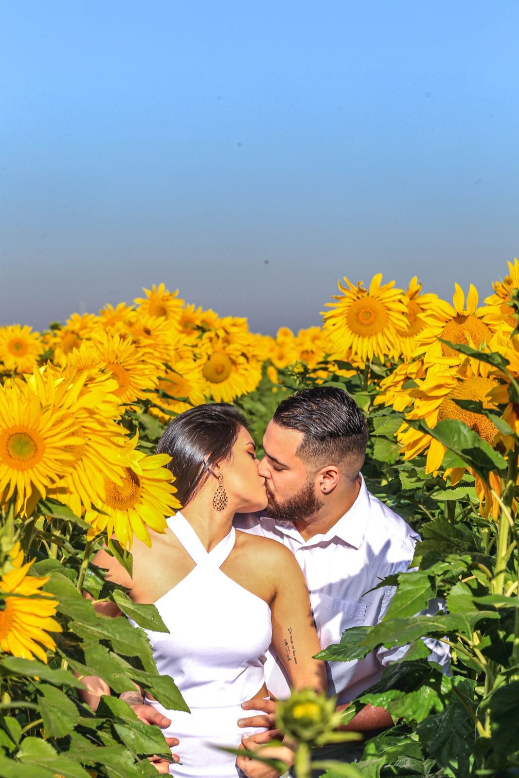 Foto Holambra a cidade das Flores e a Cidade do Amor Foto Holambra a cidade das Flores e a Cidade do Amor - Imagem 10