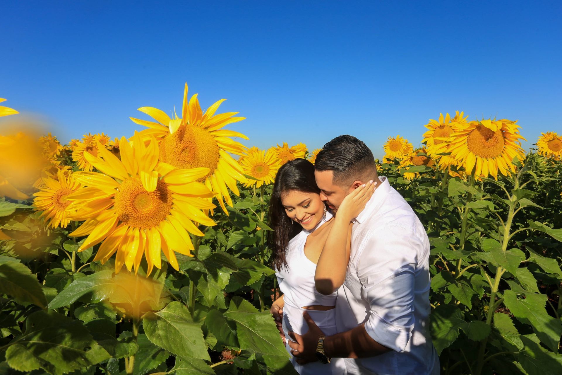 Foto Holambra a cidade das Flores e a Cidade do Amor Foto Holambra a cidade das Flores e a Cidade do Amor - Imagem 5