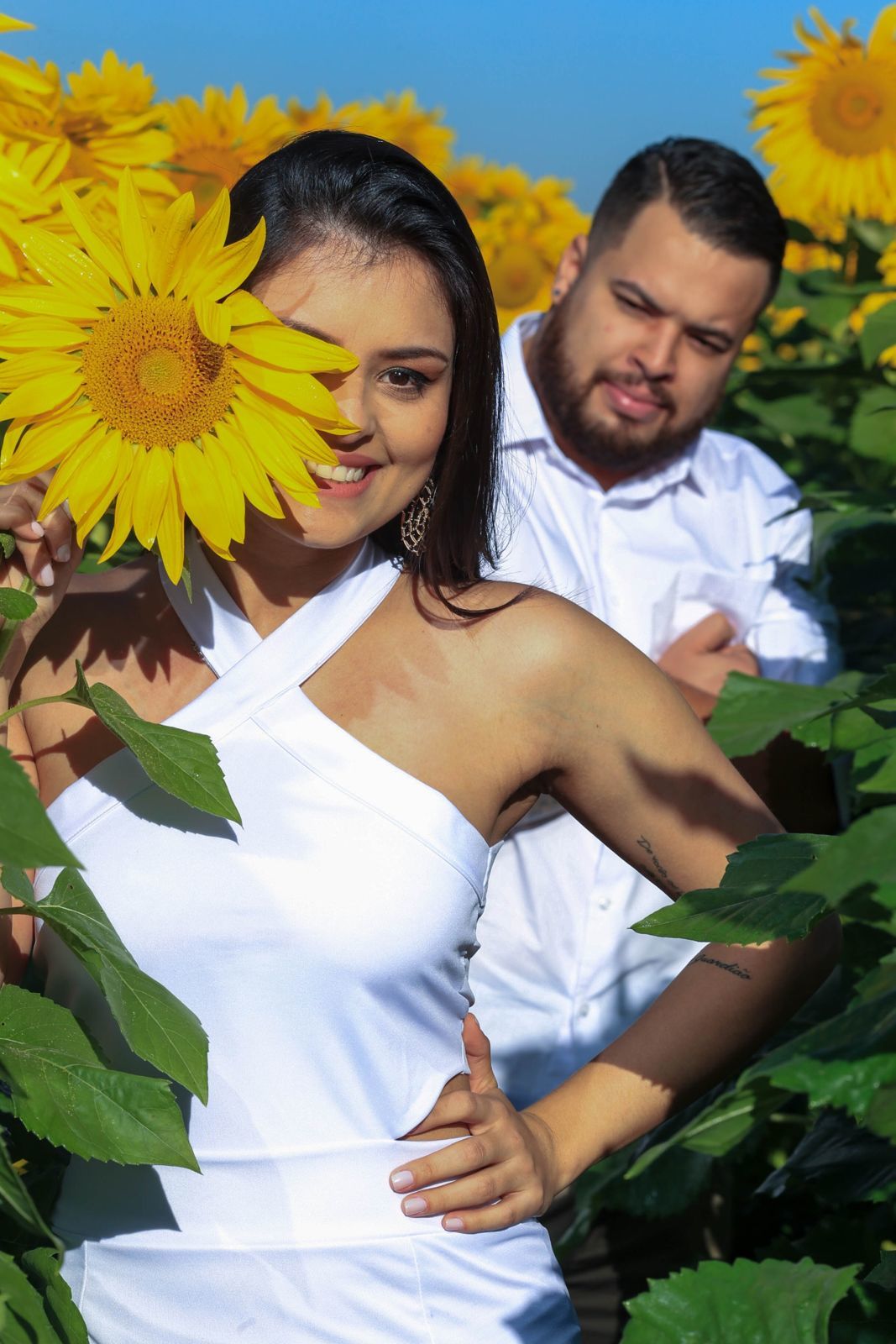 Foto Holambra a cidade das Flores e a Cidade do Amor Foto Holambra a cidade das Flores e a Cidade do Amor - Imagem 11