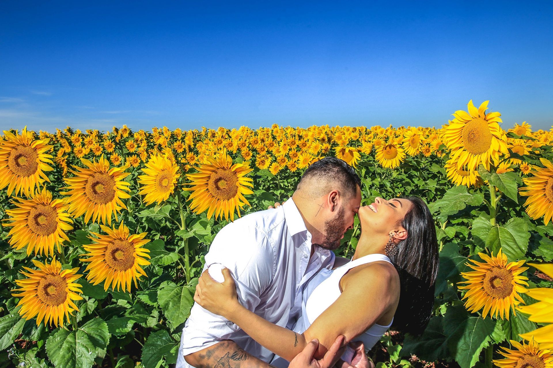 Foto Holambra a cidade das Flores e a Cidade do Amor Foto Holambra a cidade das Flores e a Cidade do Amor - Imagem 15