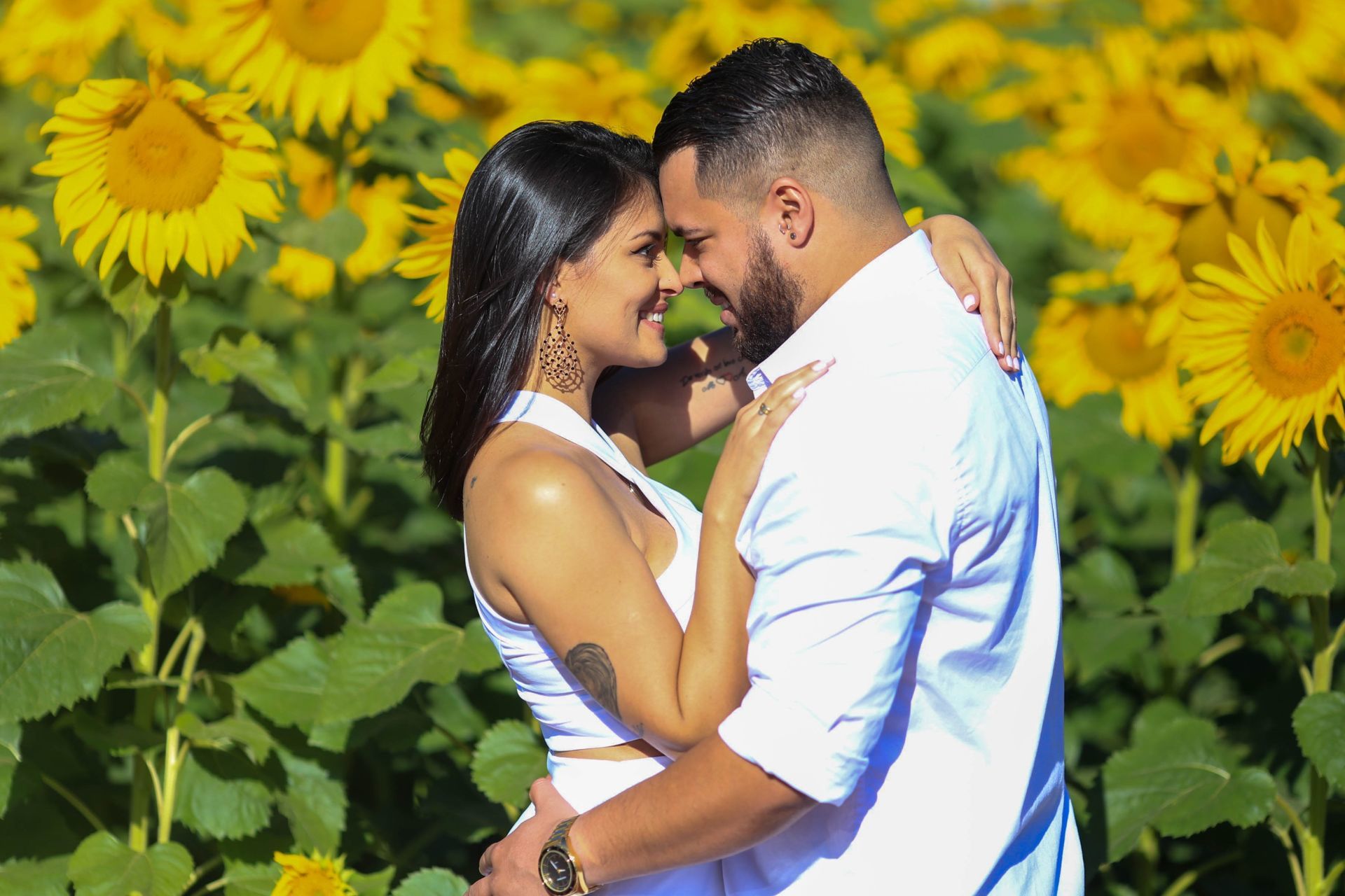 Foto Holambra a cidade das Flores e a Cidade do Amor Foto Holambra a cidade das Flores e a Cidade do Amor - Imagem 16