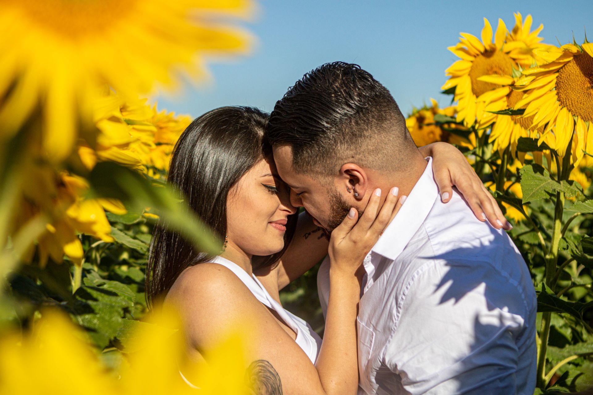 Foto Holambra a cidade das Flores e a Cidade do Amor Foto Holambra a cidade das Flores e a Cidade do Amor - Imagem 3