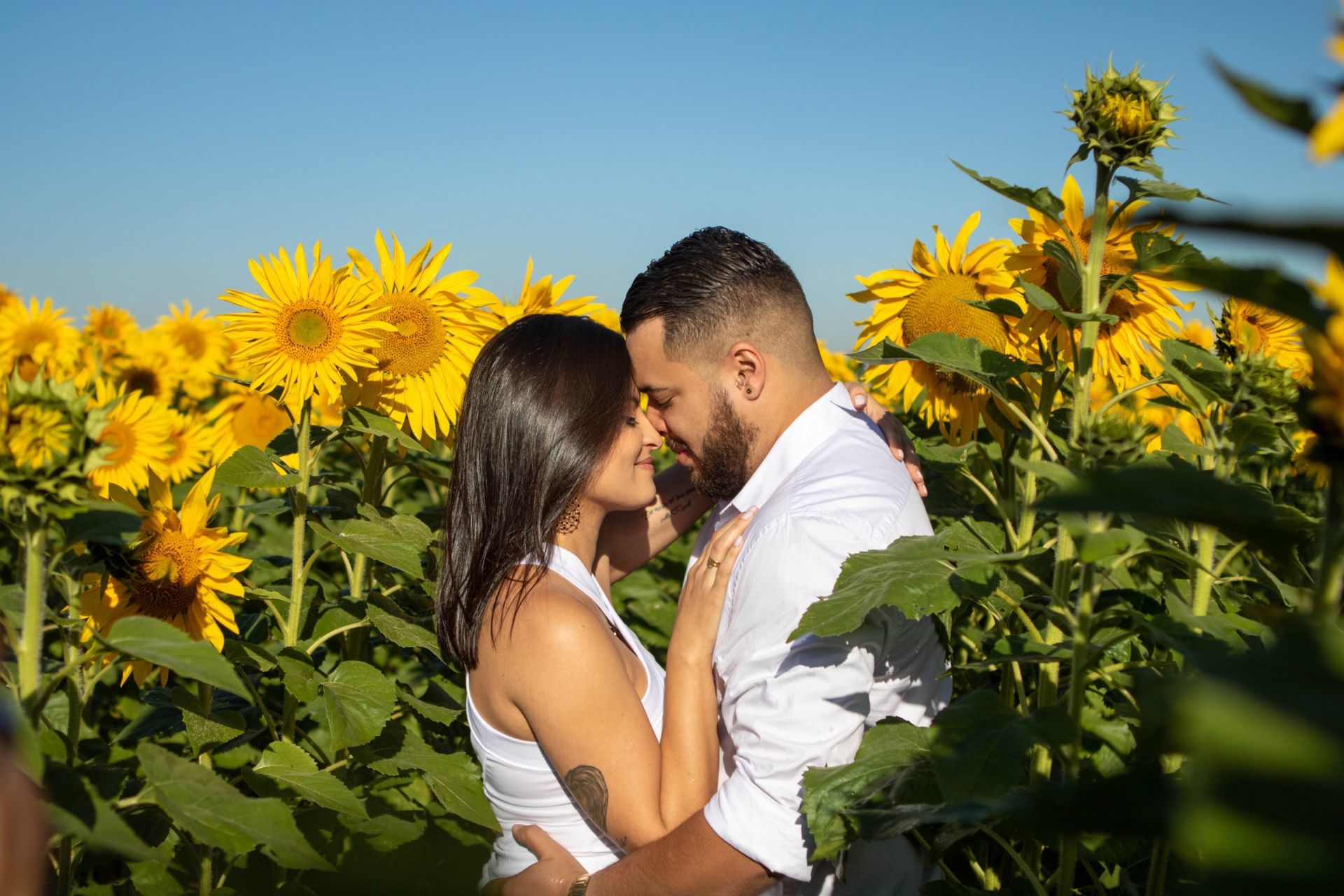 Foto Holambra a cidade das Flores e a Cidade do Amor Foto Holambra a cidade das Flores e a Cidade do Amor - Imagem 0
