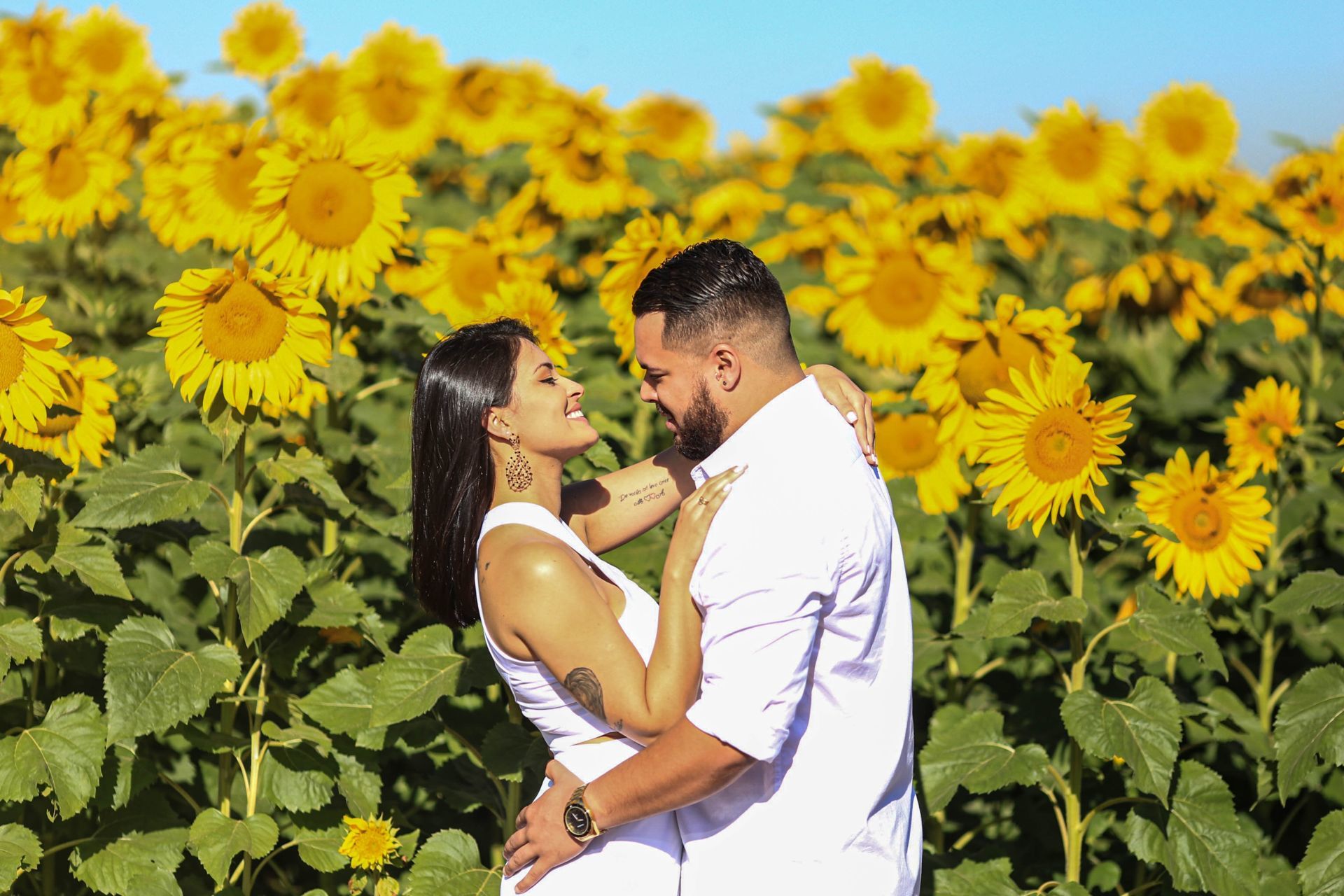 Foto Holambra a cidade das Flores e a Cidade do Amor Foto Holambra a cidade das Flores e a Cidade do Amor - Imagem 17