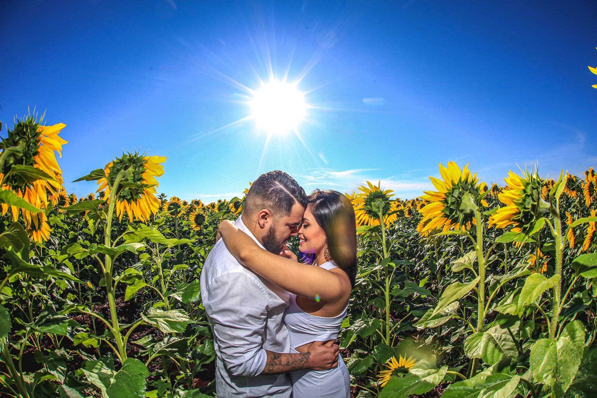 Foto Holambra a cidade das Flores e a Cidade do Amor Foto Holambra a cidade das Flores e a Cidade do Amor - Imagem 13