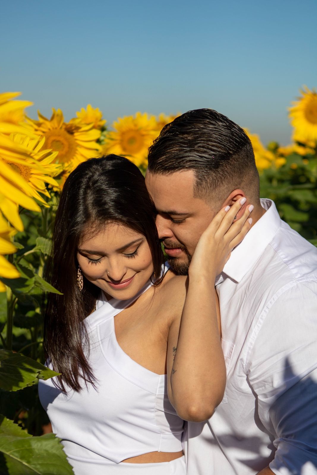 Foto Holambra a cidade das Flores e a Cidade do Amor Foto Holambra a cidade das Flores e a Cidade do Amor - Imagem 1
