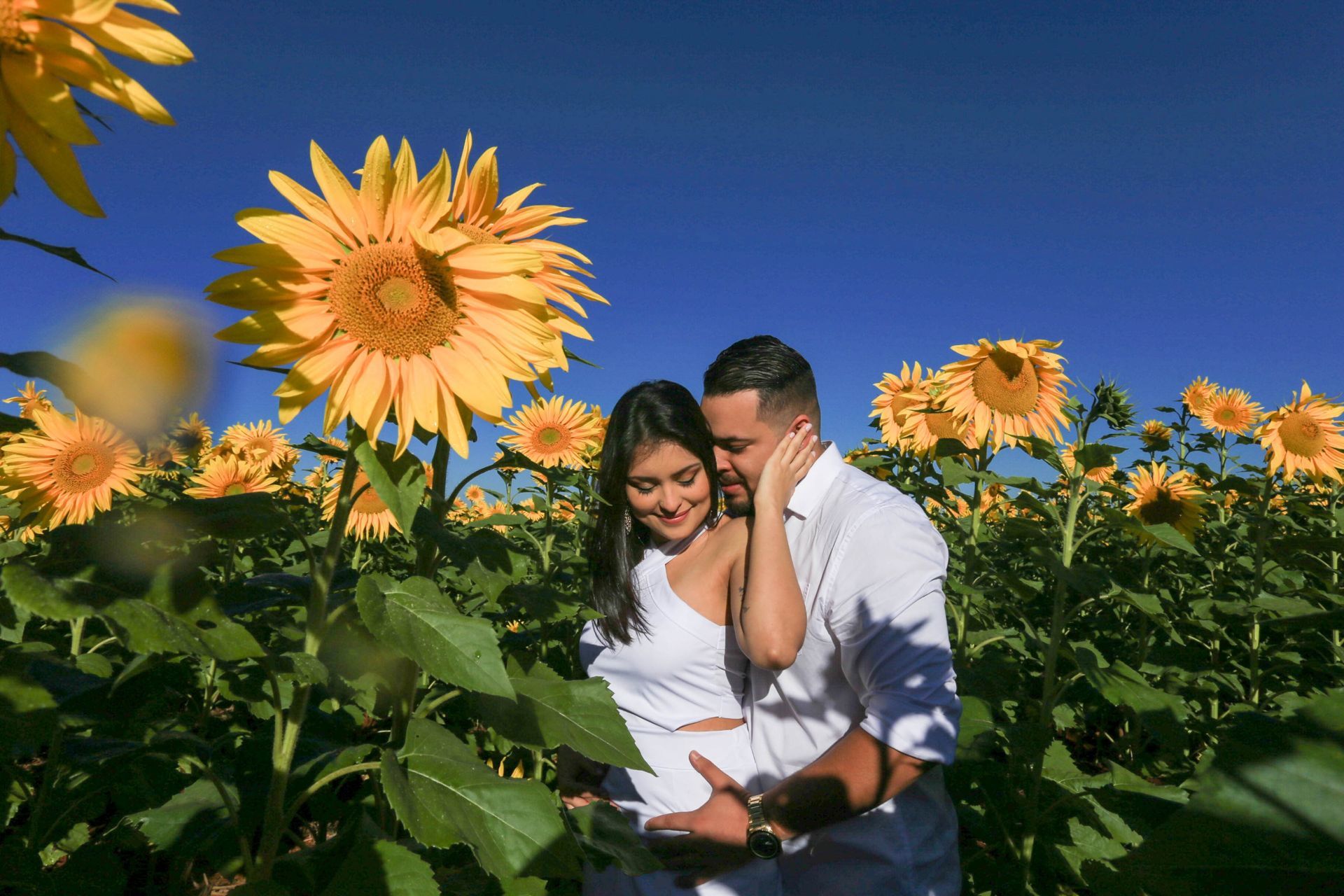 Foto Holambra a cidade das Flores e a Cidade do Amor Foto Holambra a cidade das Flores e a Cidade do Amor - Imagem 6