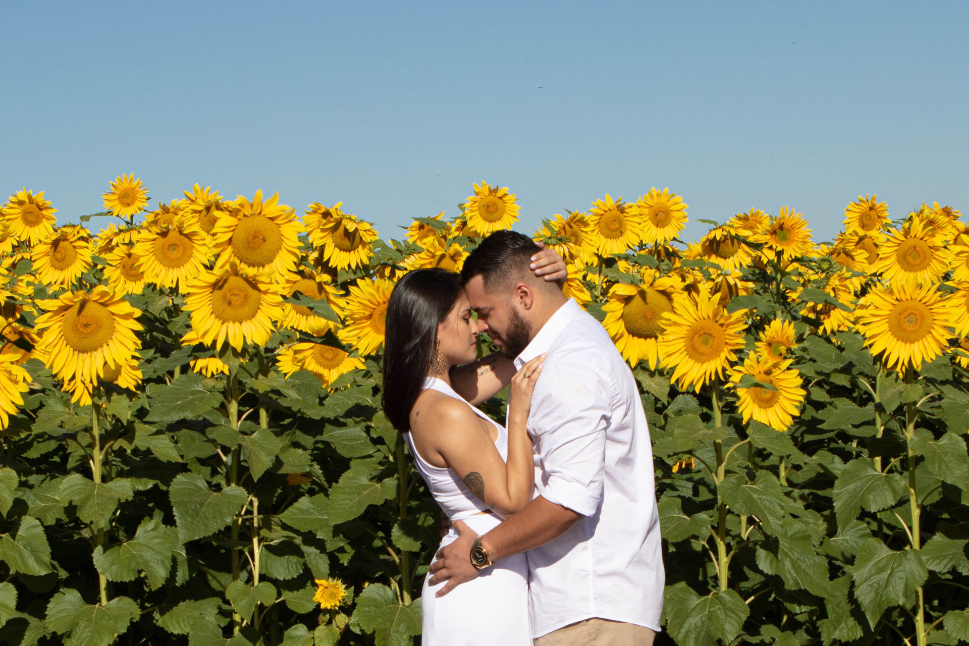 Foto Holambra a cidade das Flores e a Cidade do Amor Foto Holambra a cidade das Flores e a Cidade do Amor - Imagem 4