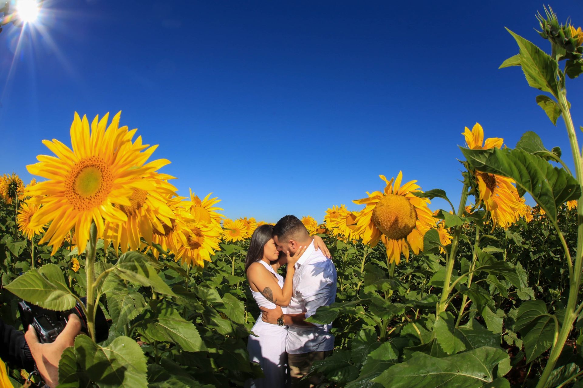 Foto Holambra a cidade das Flores e a Cidade do Amor Foto Holambra a cidade das Flores e a Cidade do Amor - Imagem 12