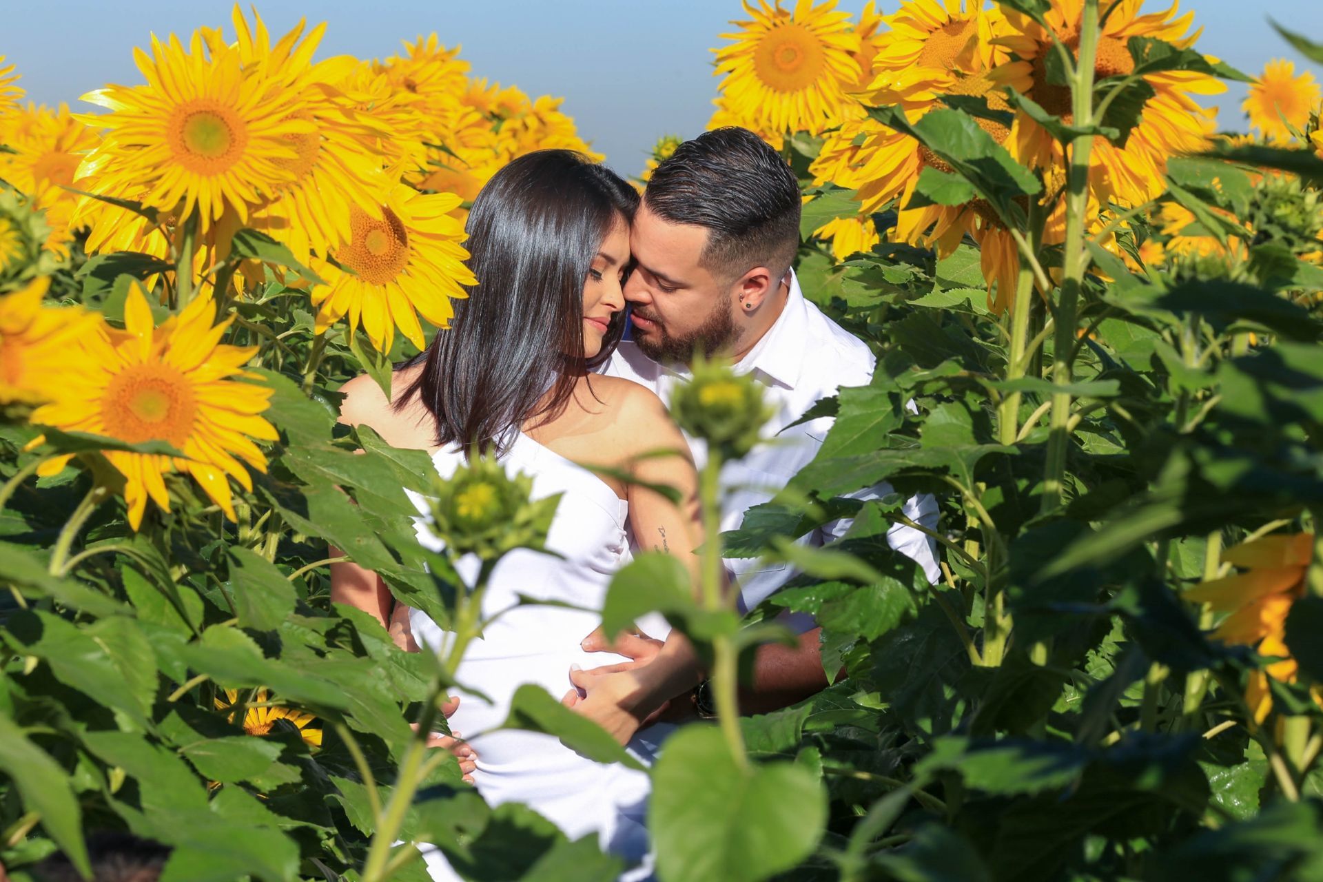 Foto Holambra a cidade das Flores e a Cidade do Amor Foto Holambra a cidade das Flores e a Cidade do Amor - Imagem 8