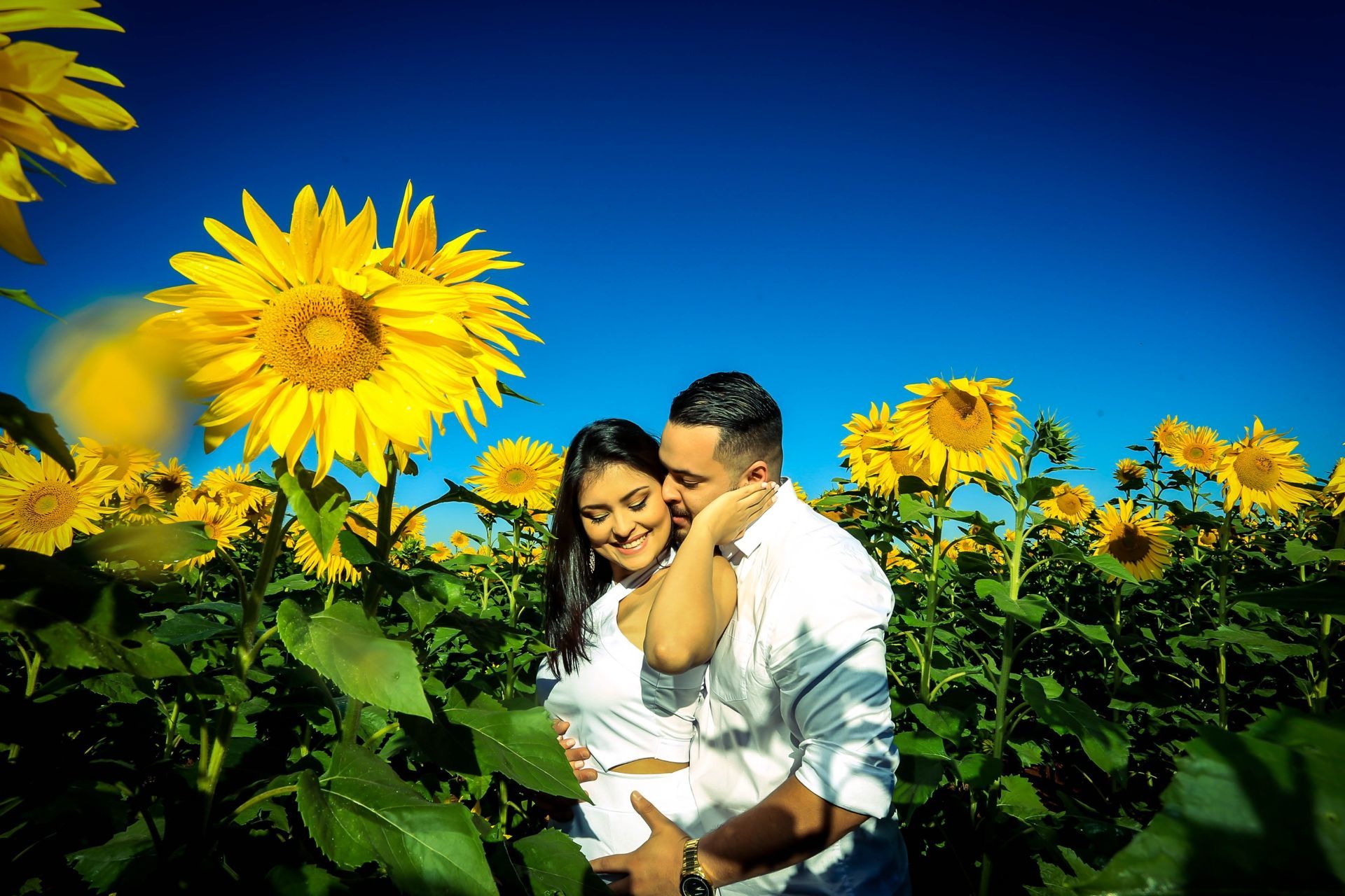 Foto Holambra a cidade das Flores e a Cidade do Amor Foto Holambra a cidade das Flores e a Cidade do Amor - Imagem 7
