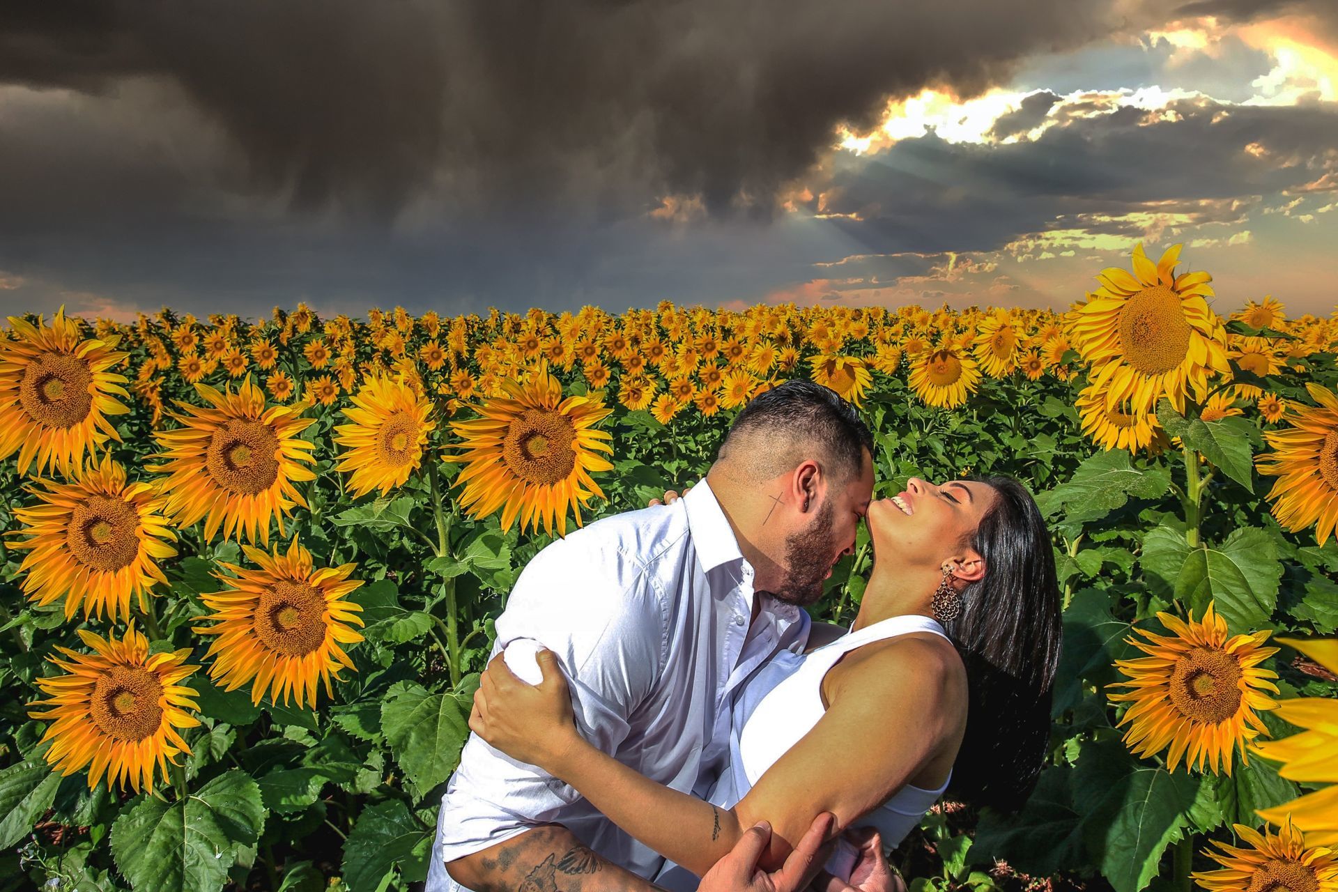Foto Holambra a cidade das Flores e a Cidade do Amor Foto Holambra a cidade das Flores e a Cidade do Amor - Imagem 14
