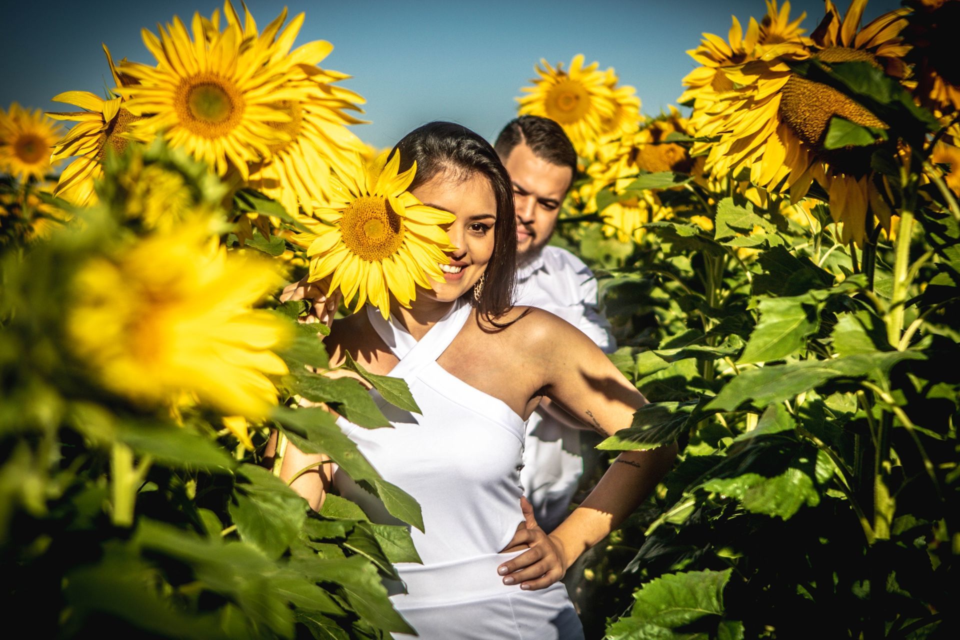 Foto Holambra a cidade das Flores e a Cidade do Amor Foto Holambra a cidade das Flores e a Cidade do Amor - Imagem 2