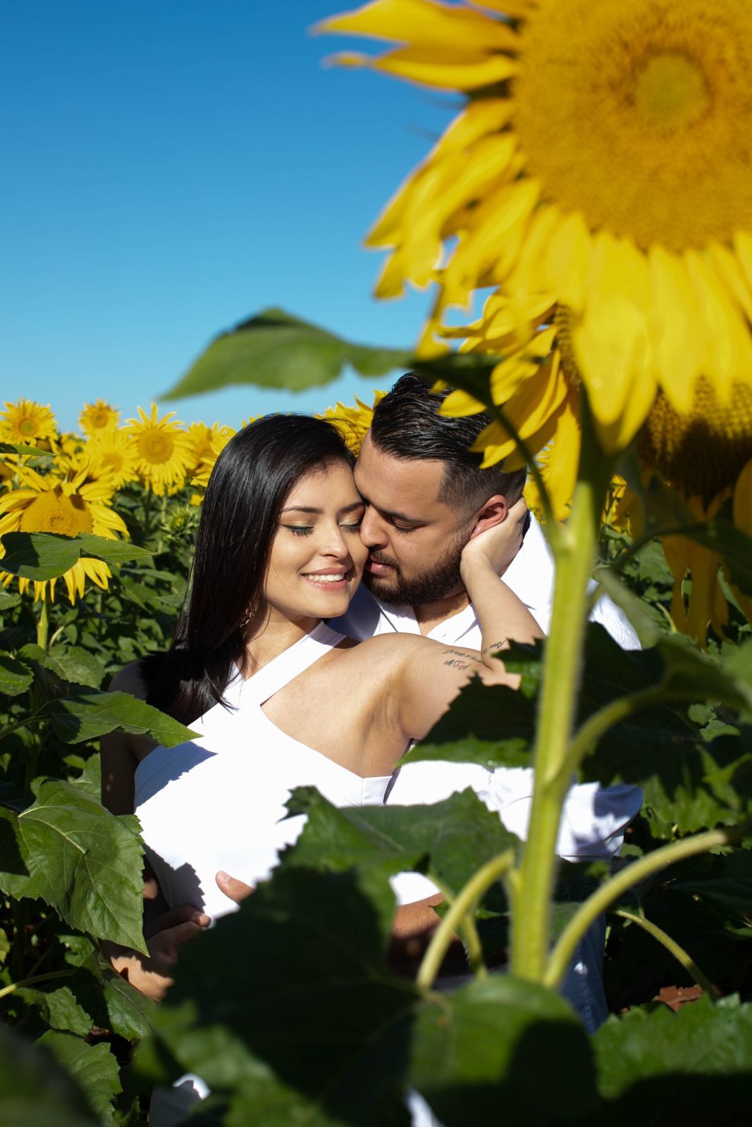 Foto Holambra a cidade das Flores e a Cidade do Amor Foto Holambra a cidade das Flores e a Cidade do Amor - Imagem 37
