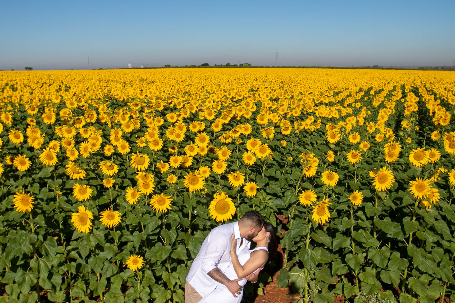 Foto Holambra a cidade das Flores e a Cidade do Amor Foto Holambra a cidade das Flores e a Cidade do Amor - Imagem 39