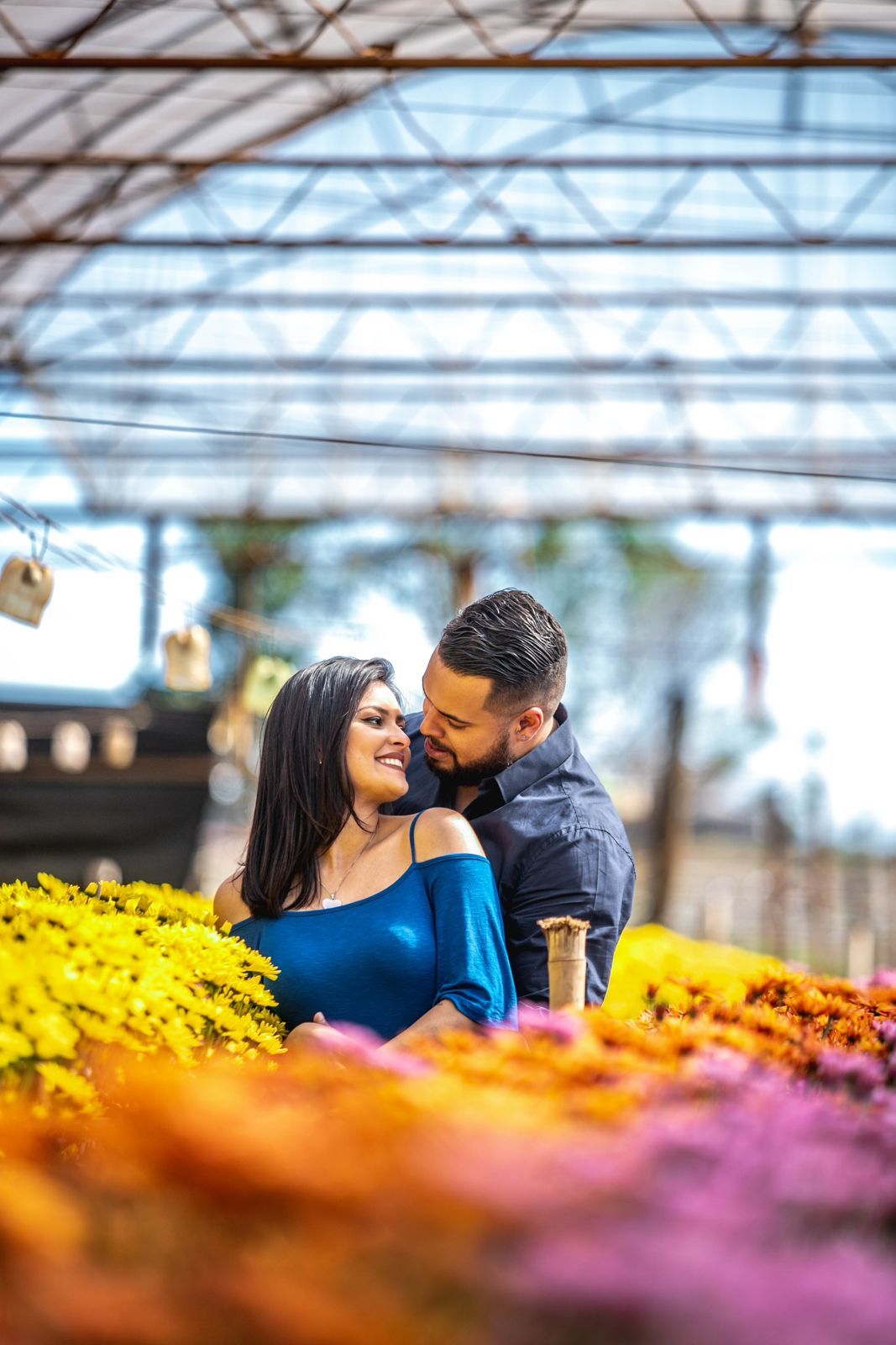 Foto Holambra a cidade das Flores e a Cidade do Amor Foto Holambra a cidade das Flores e a Cidade do Amor - Imagem 50