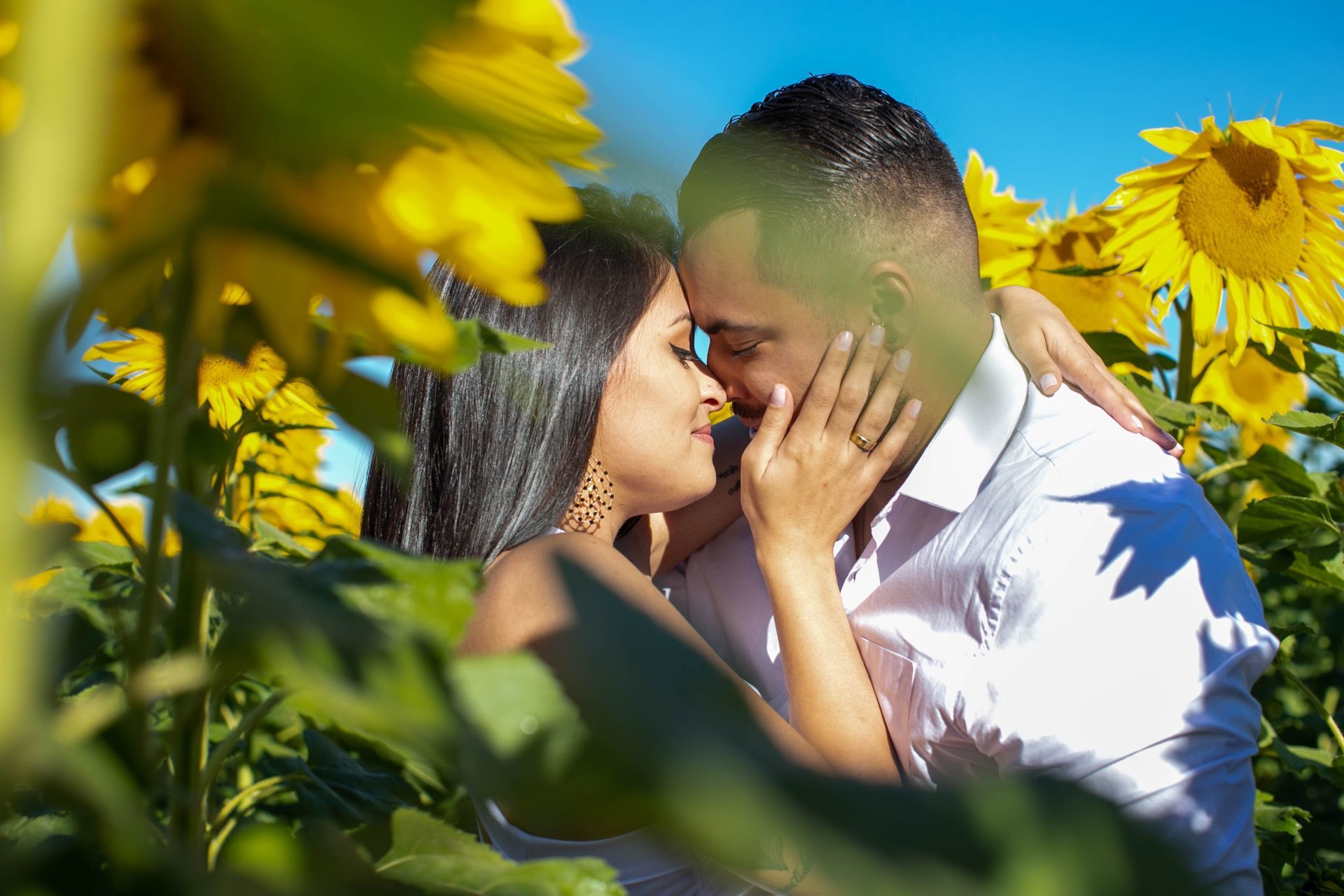 Foto Holambra a cidade das Flores e a Cidade do Amor Foto Holambra a cidade das Flores e a Cidade do Amor - Imagem 36