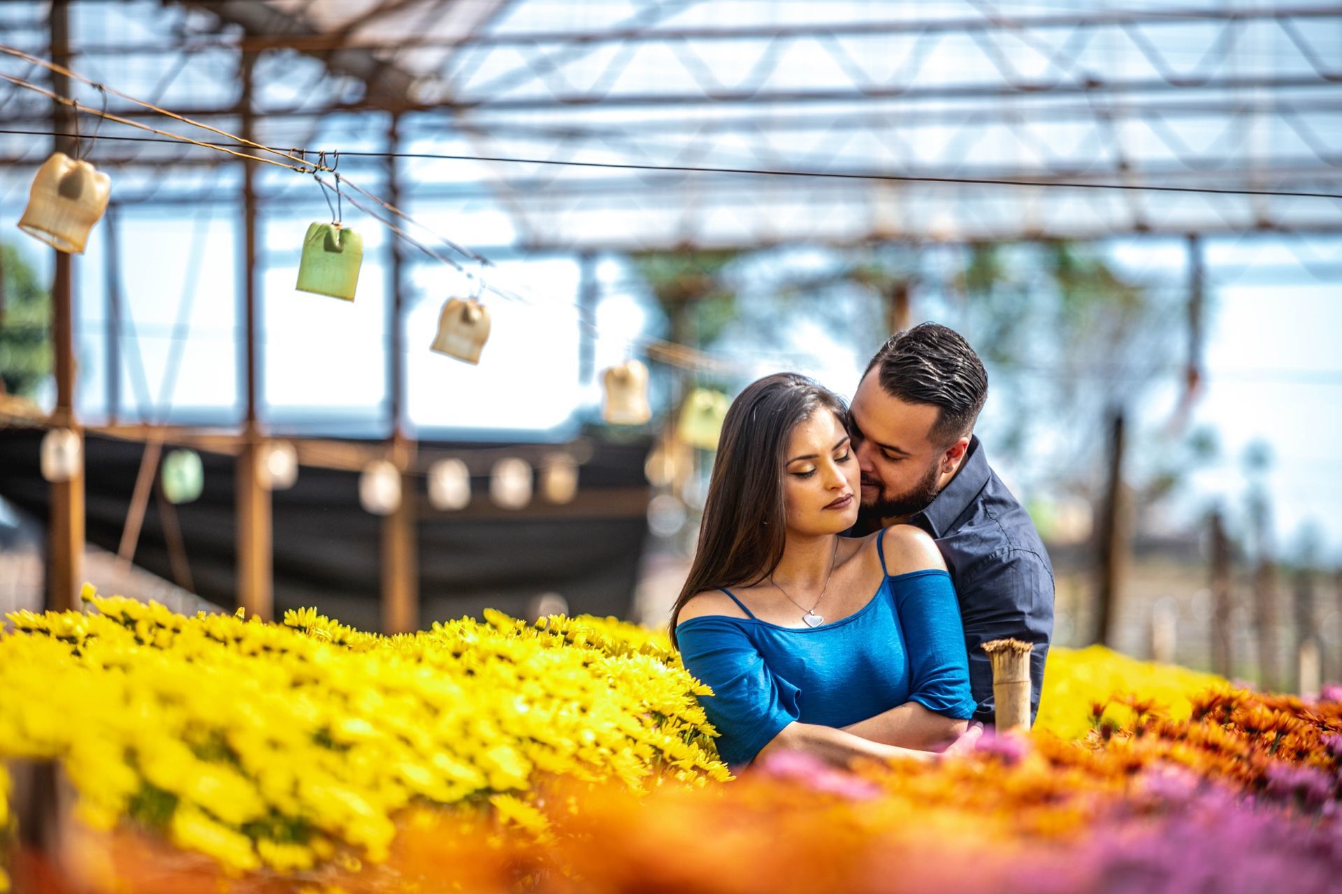 Foto Holambra a cidade das Flores e a Cidade do Amor Foto Holambra a cidade das Flores e a Cidade do Amor - Imagem 51