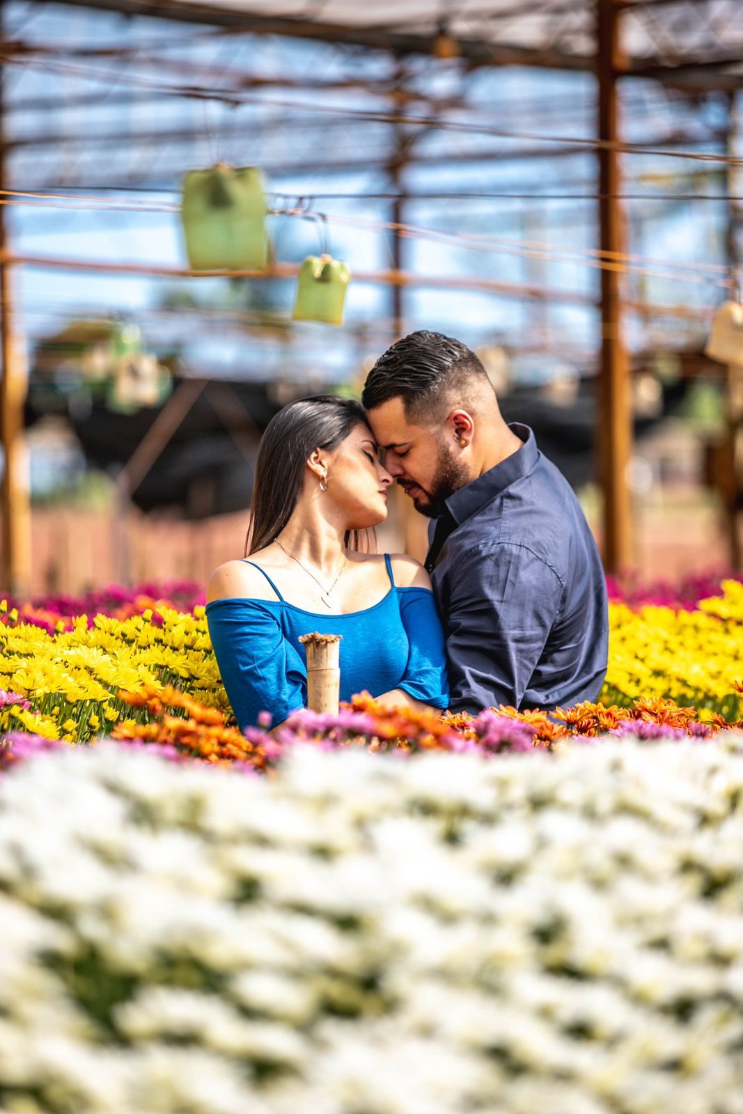 Foto Holambra a cidade das Flores e a Cidade do Amor Foto Holambra a cidade das Flores e a Cidade do Amor - Imagem 53