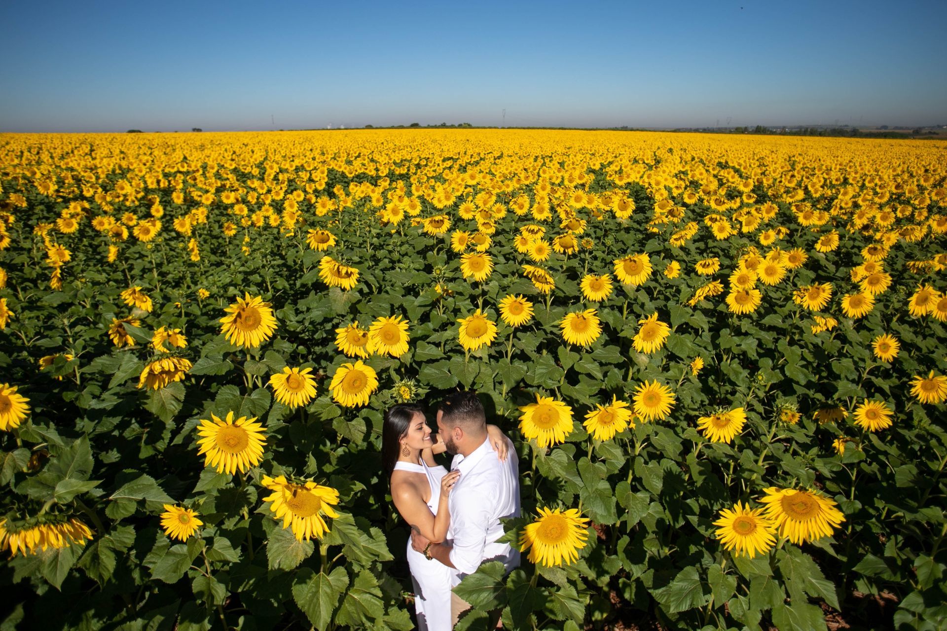 Foto Holambra a cidade das Flores e a Cidade do Amor Foto Holambra a cidade das Flores e a Cidade do Amor - Imagem 40