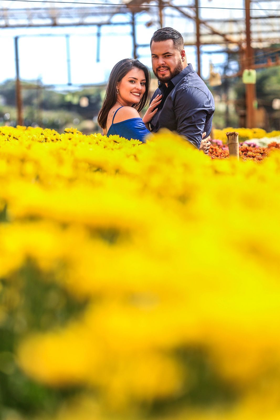 Foto Holambra a cidade das Flores e a Cidade do Amor Foto Holambra a cidade das Flores e a Cidade do Amor - Imagem 29