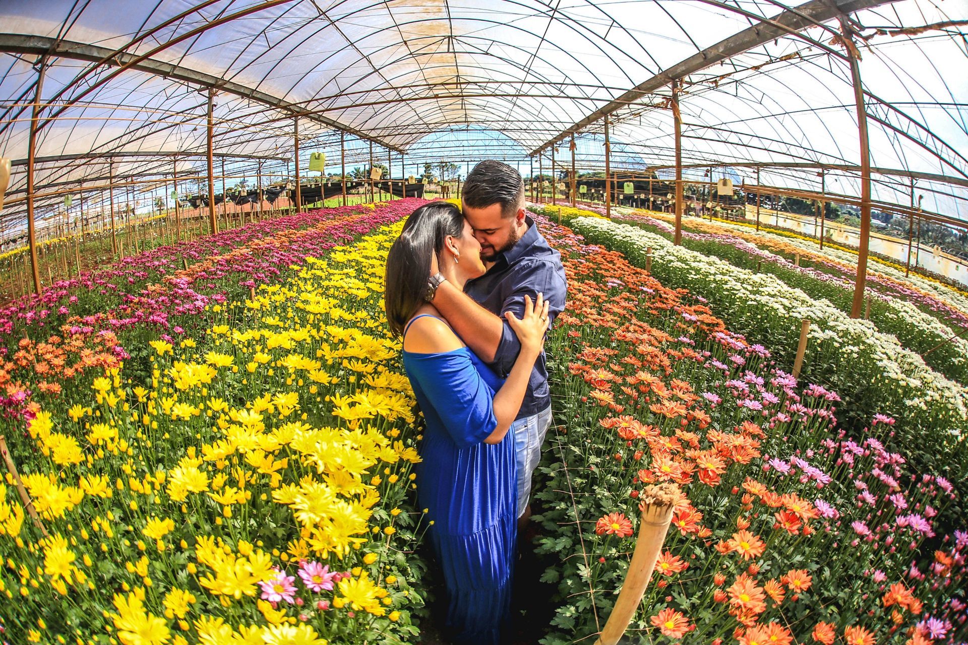 Foto Holambra a cidade das Flores e a Cidade do Amor Foto Holambra a cidade das Flores e a Cidade do Amor - Imagem 28