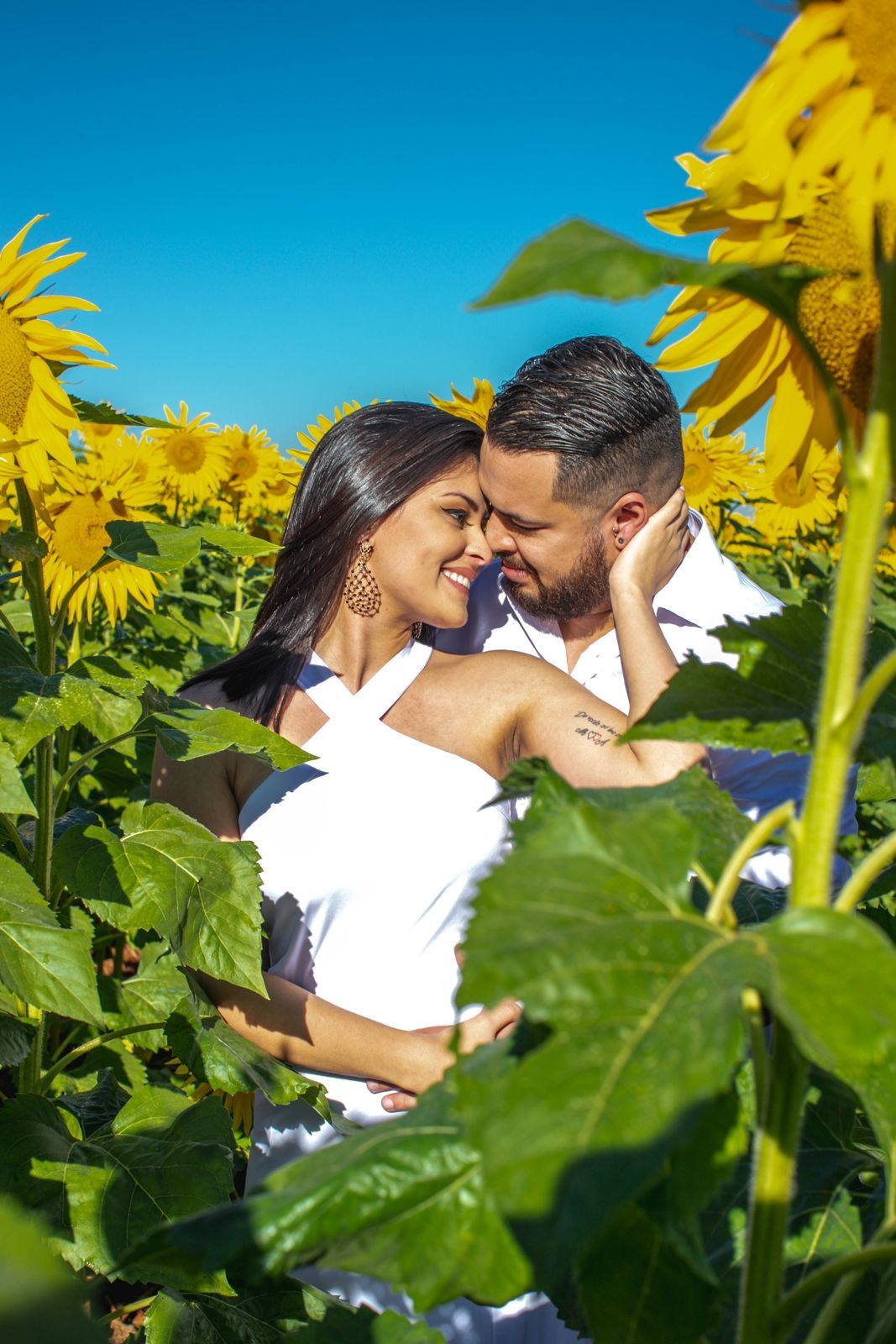 Foto Holambra a cidade das Flores e a Cidade do Amor Foto Holambra a cidade das Flores e a Cidade do Amor - Imagem 38