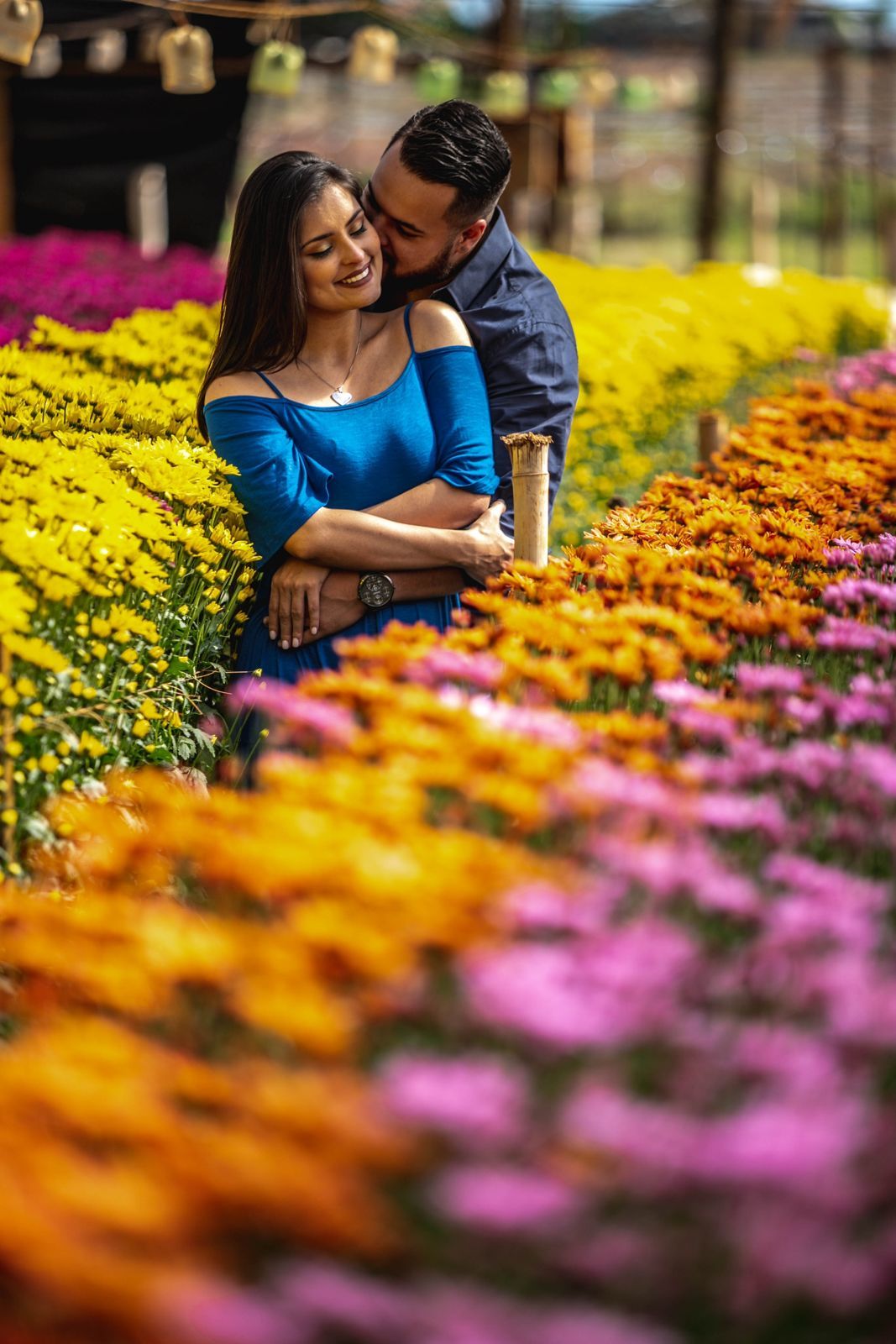 Foto Holambra a cidade das Flores e a Cidade do Amor Foto Holambra a cidade das Flores e a Cidade do Amor - Imagem 52