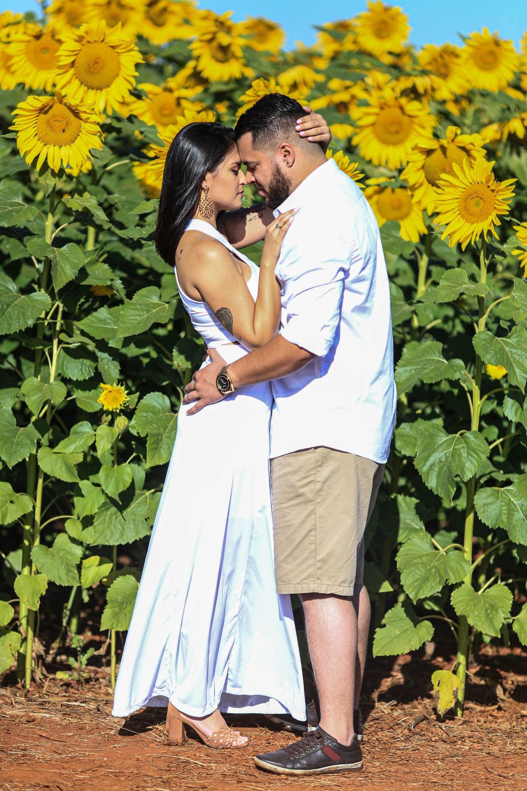 Foto Holambra a cidade das Flores e a Cidade do Amor Foto Holambra a cidade das Flores e a Cidade do Amor - Imagem 19