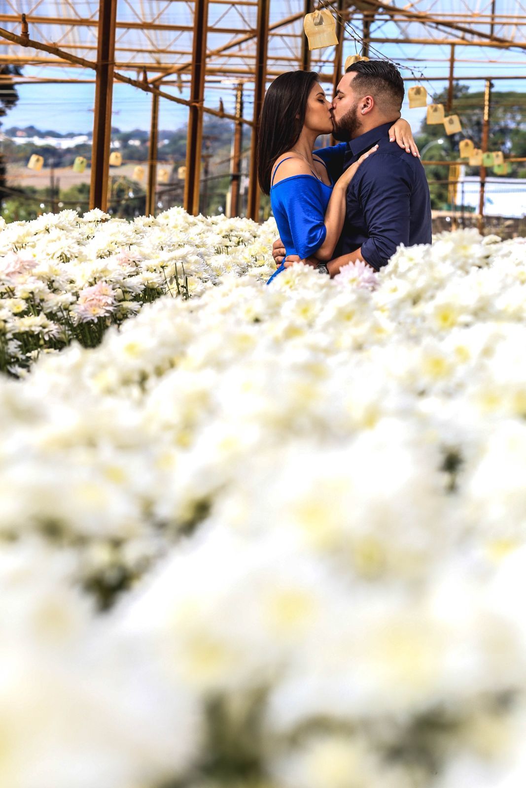 Foto Holambra a cidade das Flores e a Cidade do Amor Foto Holambra a cidade das Flores e a Cidade do Amor - Imagem 30