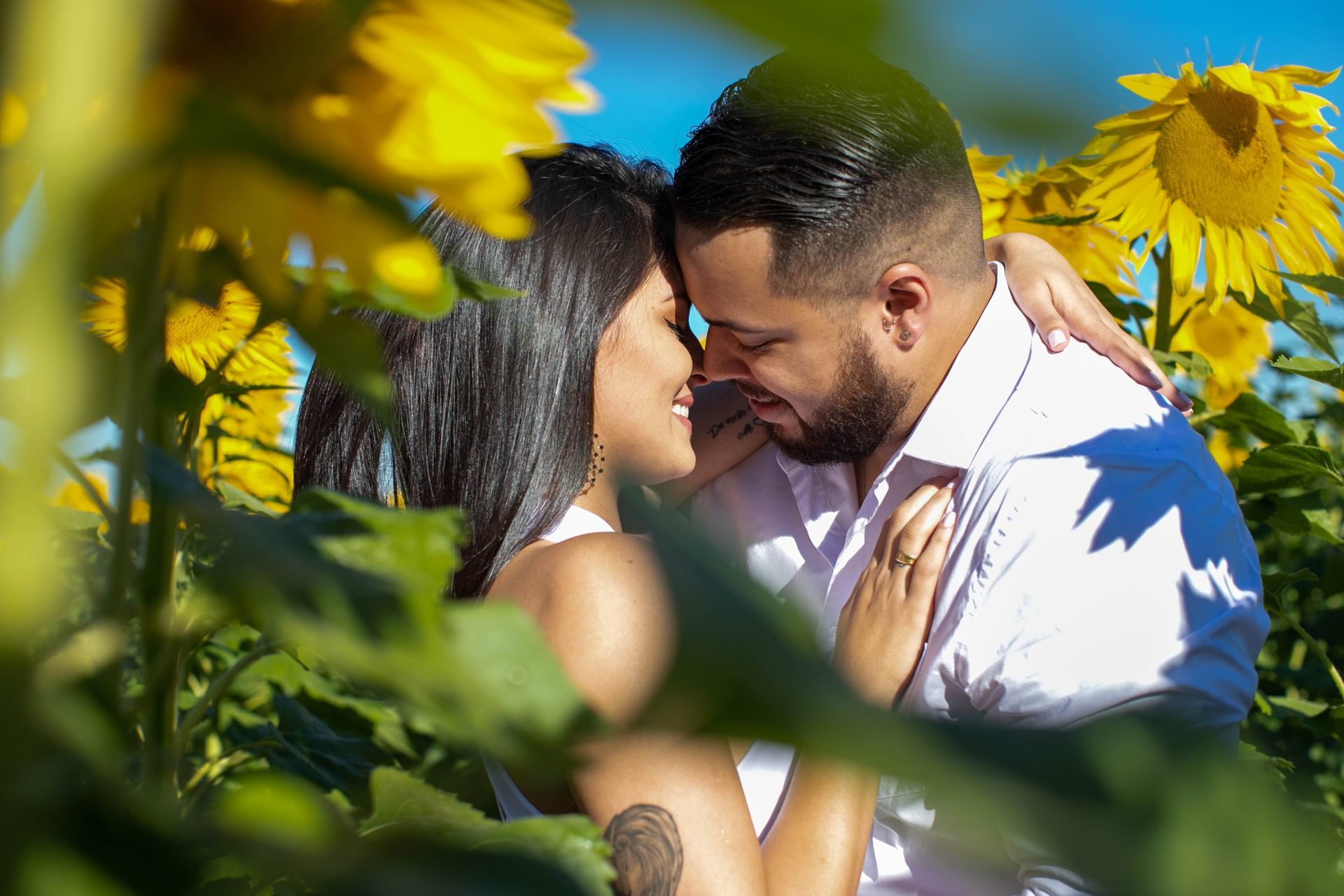 Foto Holambra a cidade das Flores e a Cidade do Amor Foto Holambra a cidade das Flores e a Cidade do Amor - Imagem 35