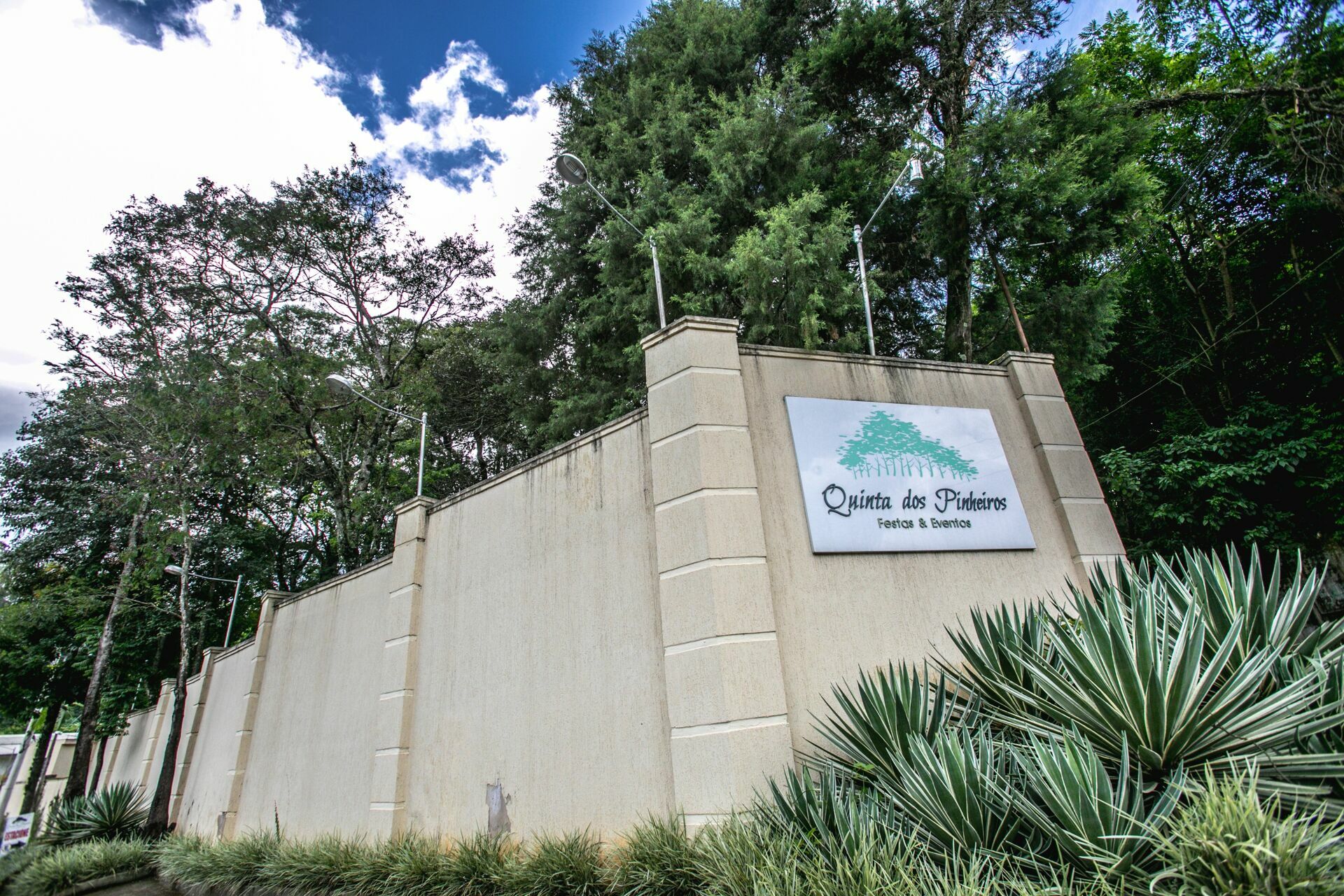 Foto Quinta Dos Pinheiros  - Imagem 8