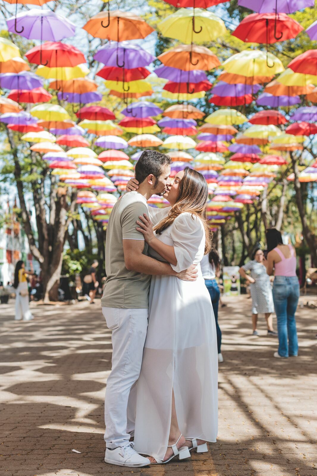 Foto Um tarde Fastastica em Holambra  - Imagem 7