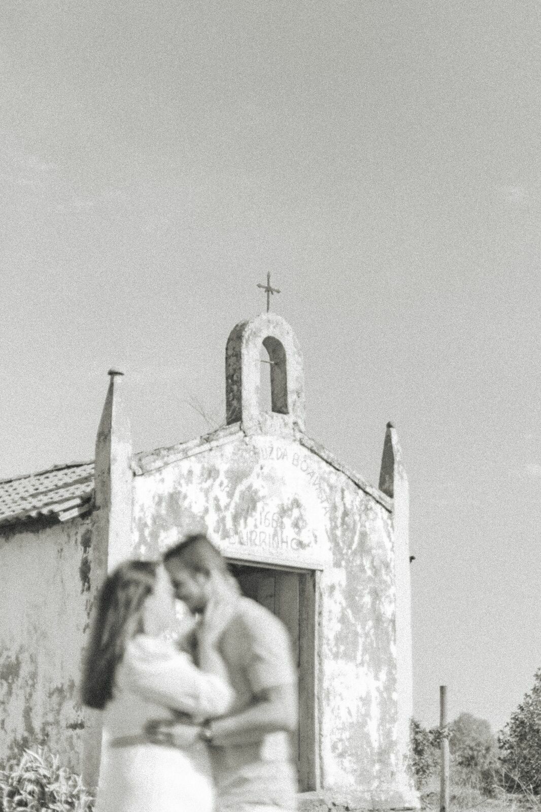 Foto Um tarde Fastastica em Holambra  - Imagem 60